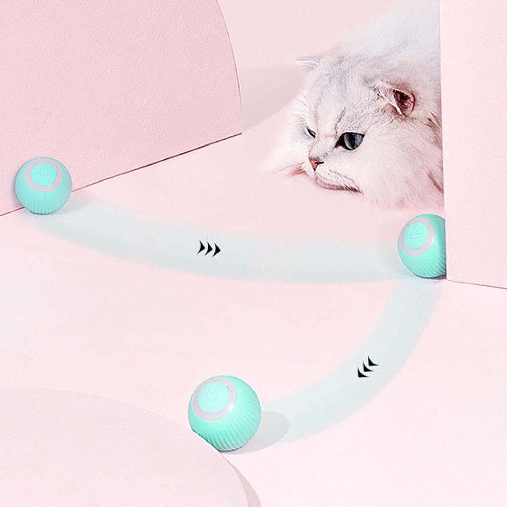 AutoBall™ - Jouet électrique interactifs pour chats - Miaoumiw