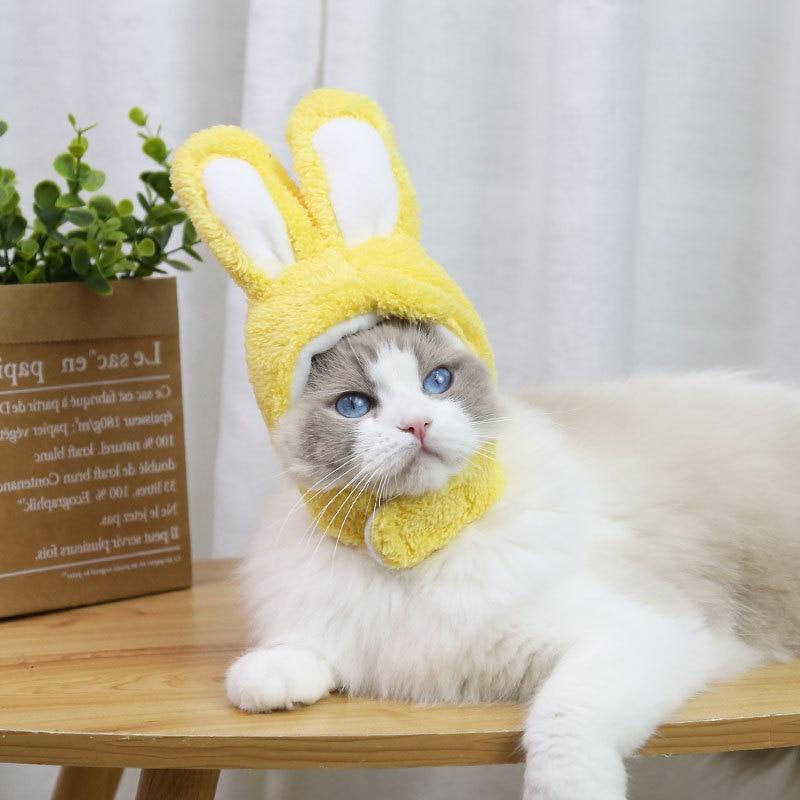 RabbitHat™ - Accessoire de déguisement pour chat - Miaoumiw