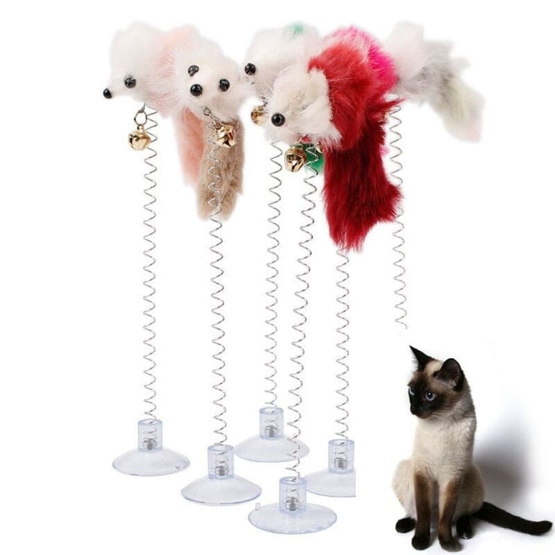 SpringFun™ - Colonne Spirale pour chat - Miaoumiw