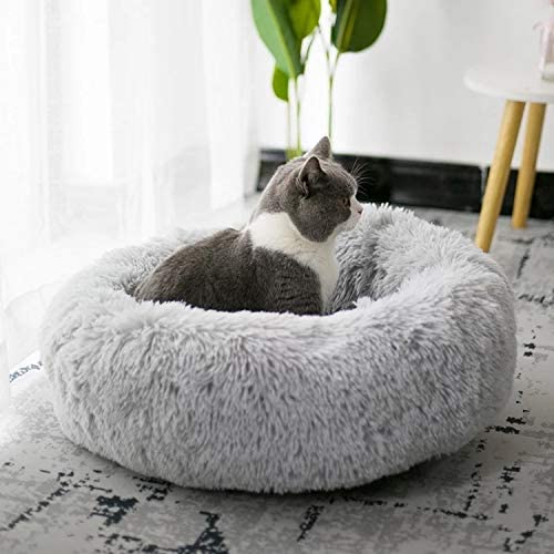 TopConfort™ - Lit Apaisant Chat - Miaoumiw